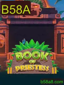 Explorando o Fascinante Mundo de BookOfPriestess